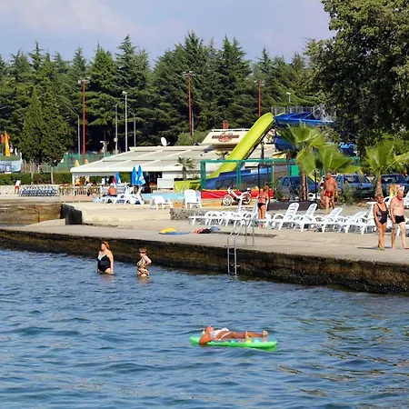 Family-friendly With Swimming Pool Nova Vas, - 14167 Lejlighed