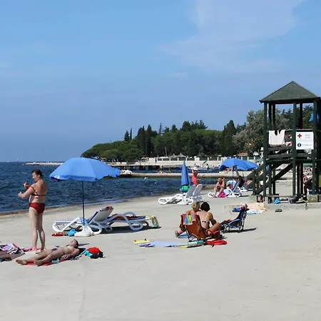 Apartment Family Friendly With A Swimming Pool Nova Vas, - 14167